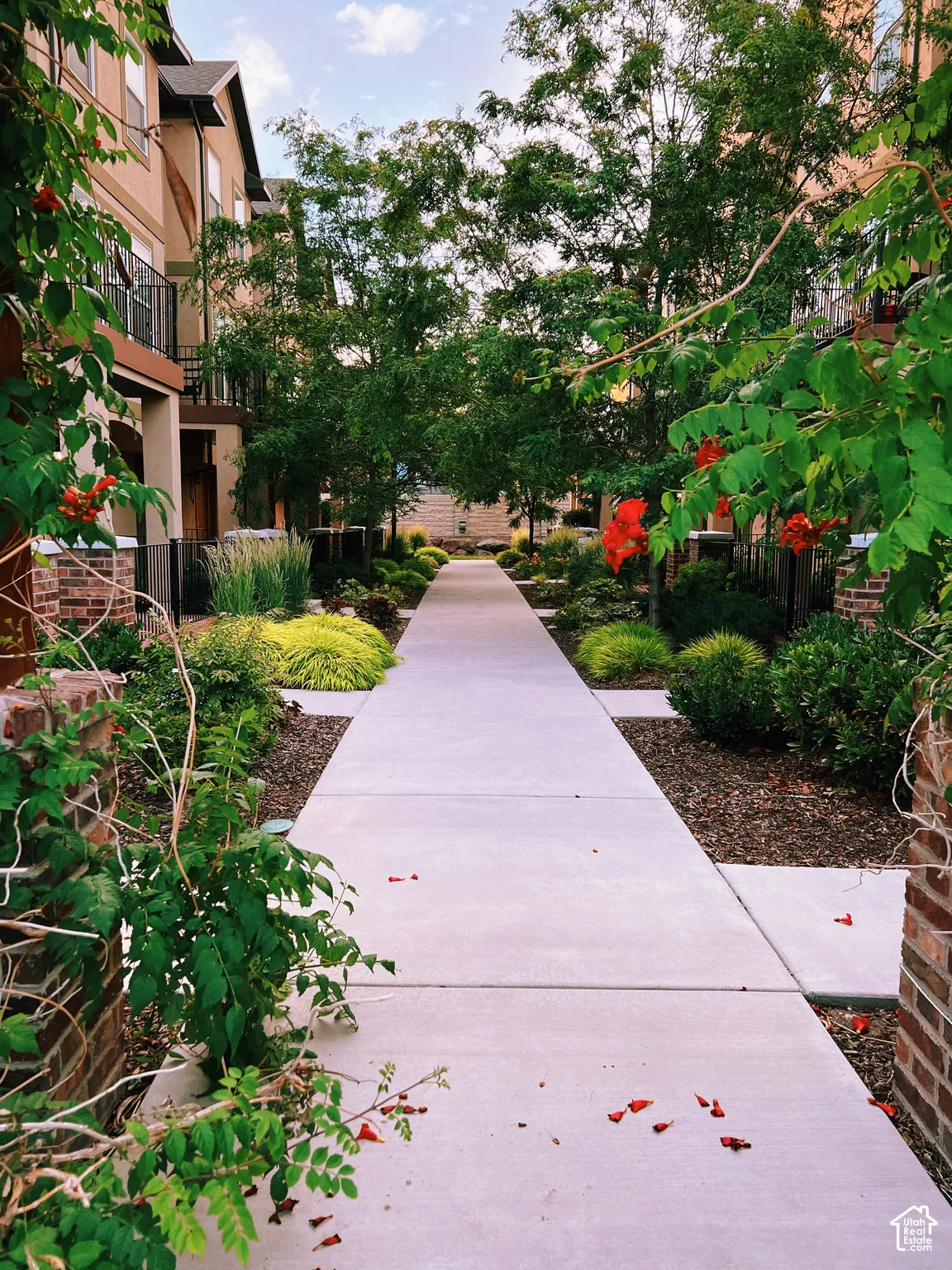 Walkway to townhome. Concrete pathway bordered by lush landscaping and mature trees