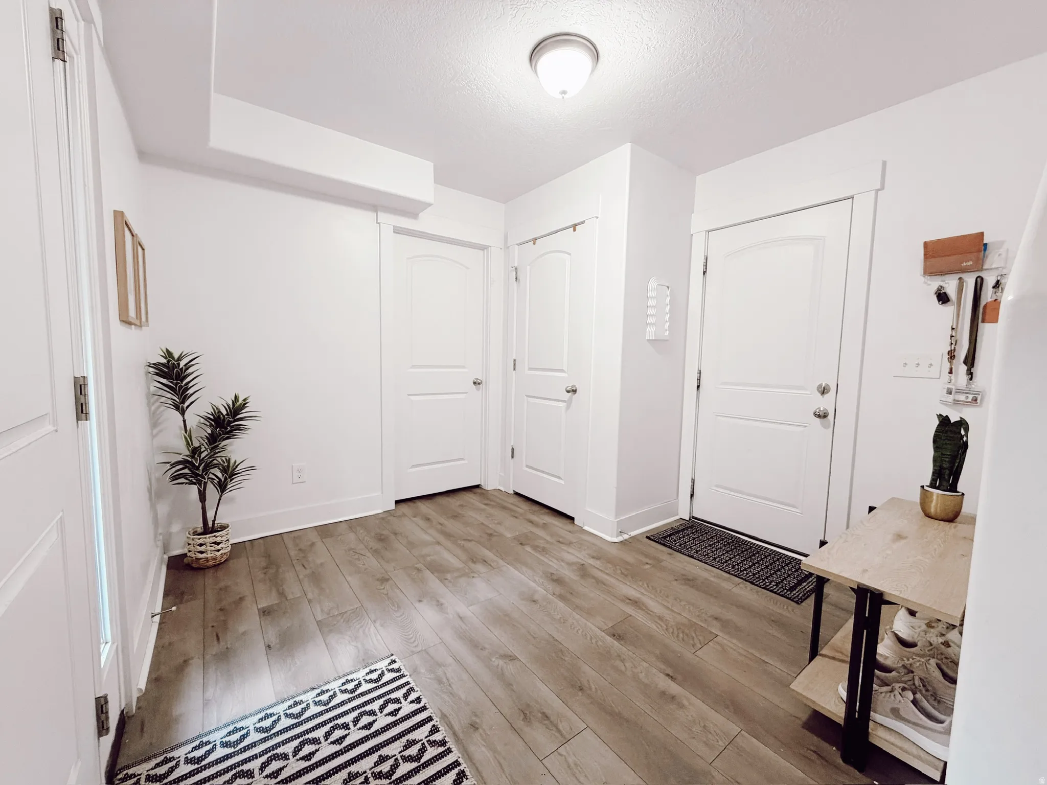 Entryway featuring wood-finish flooring, white trim, and multiple interior doors