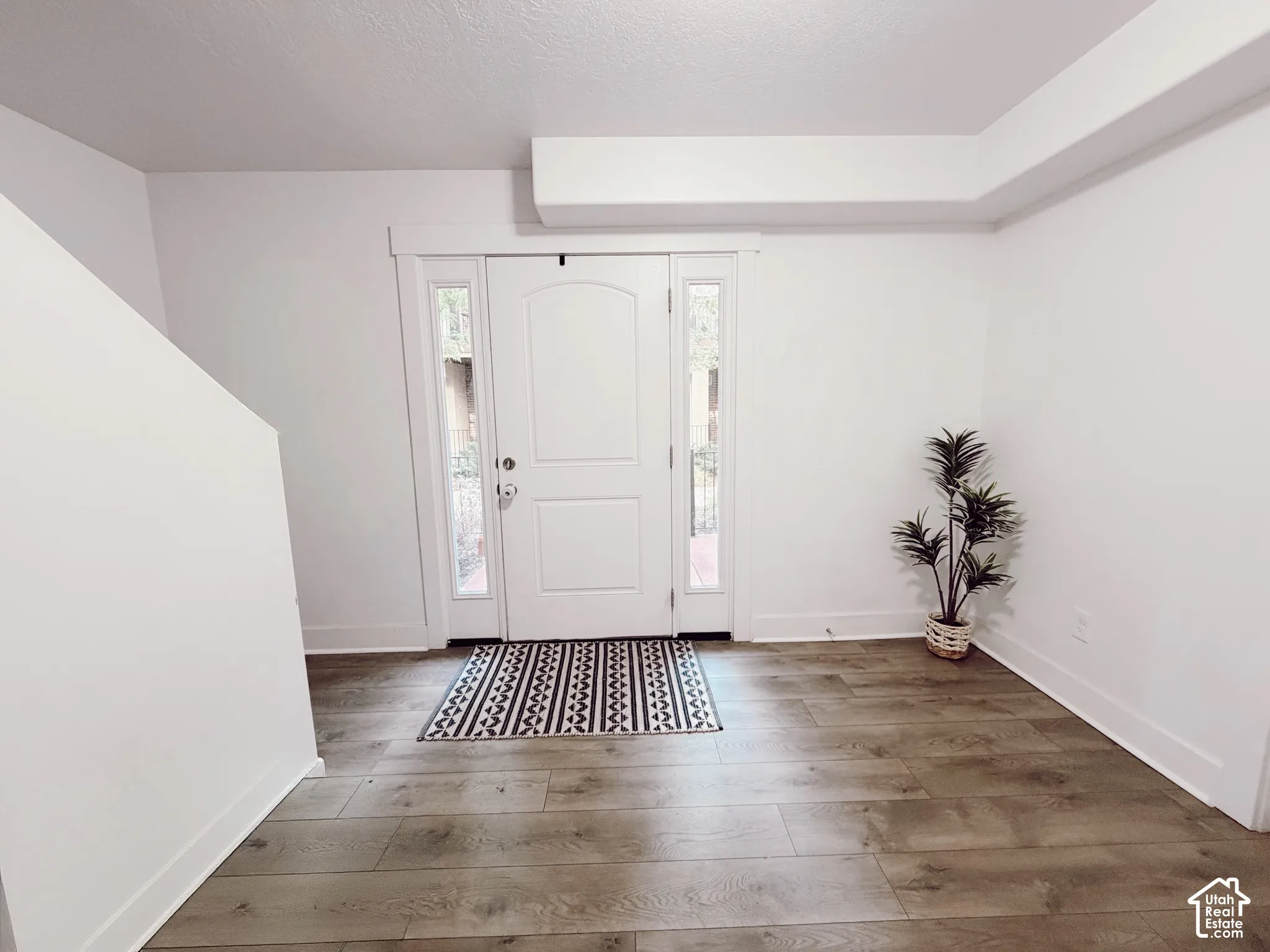Entryway featuring a white door with arched paneling, flanking sidelights, and wood-finish flooring