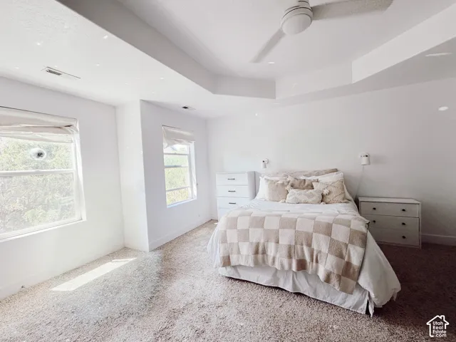 Recessed lighting, ceiling fan, and tray ceiling in a carpeted room with multiple windows