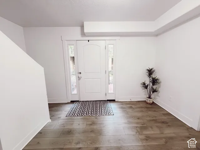Entryway featuring a white door with arched paneling, flanking sidelights, and wood-finish flooring