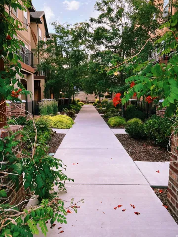 Walkway to townhome. Concrete pathway bordered by lush landscaping and mature trees