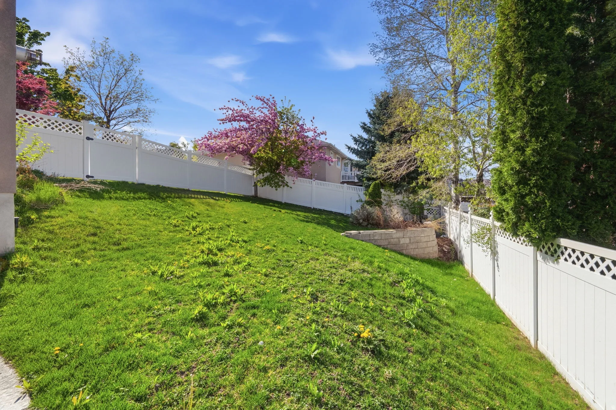 Expansive sloped lawn area bordered by a white lattice-top fence