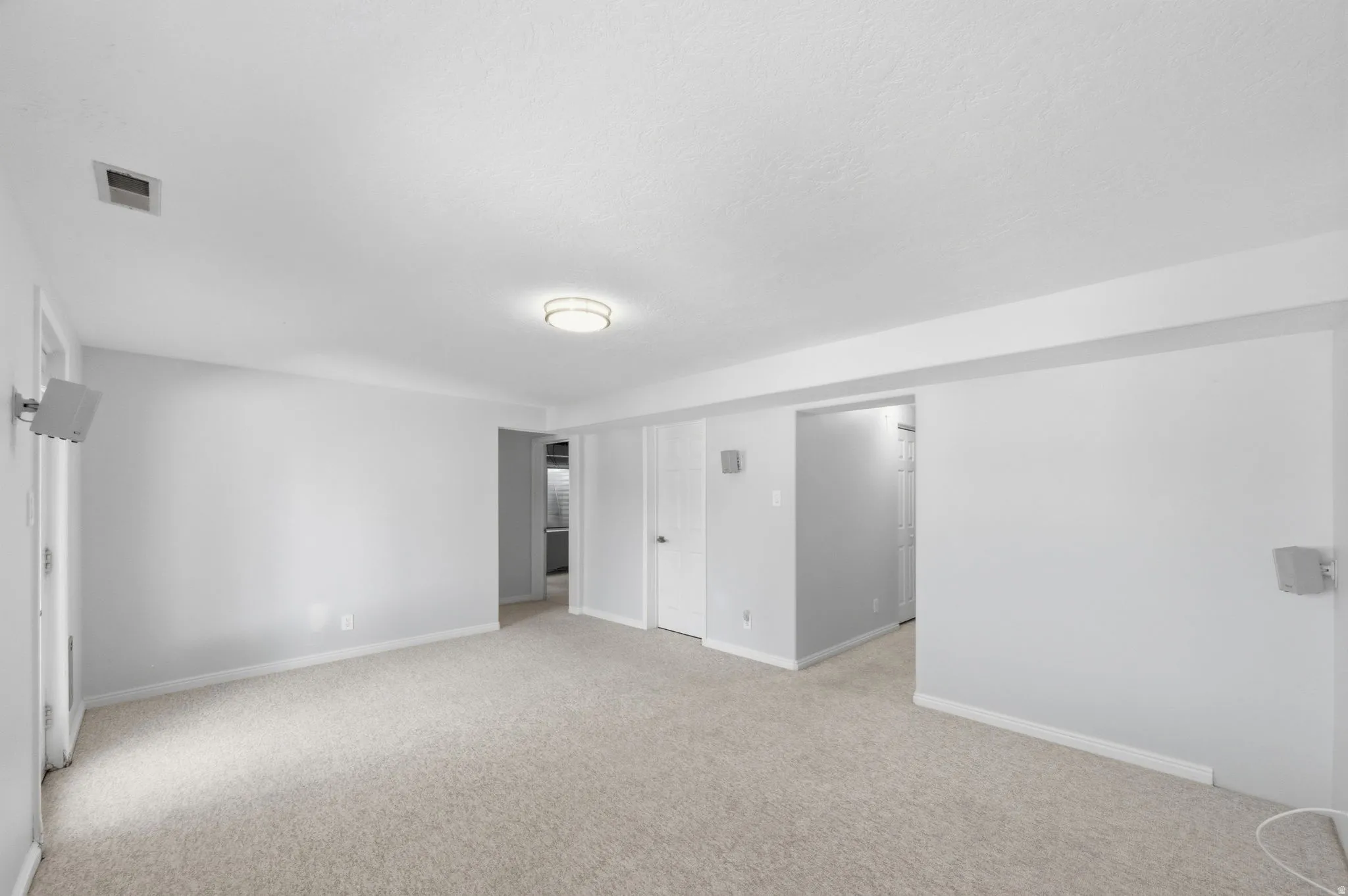 Expansive carpeted room featuring light gray walls, white trim, and a flush-mount ceiling light fixture