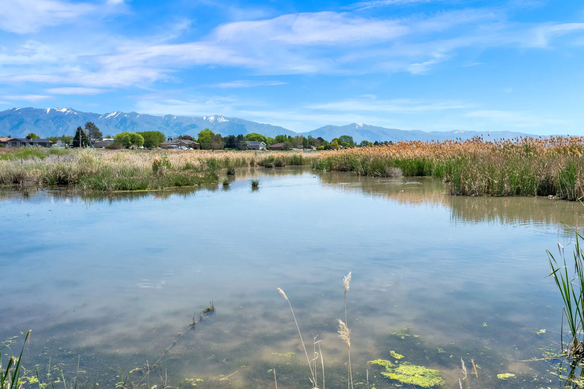 Expansive water feature with natural marshland vegetation, set against a distant mountain range with snow-capped peaks