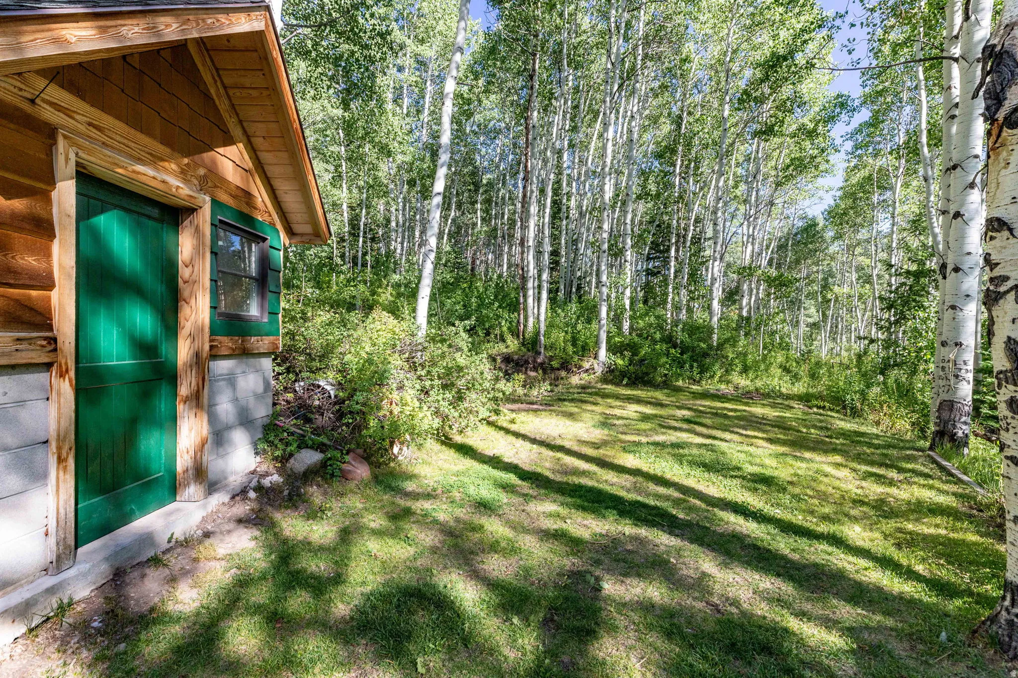 Log cabin construction featuring a green door and a small window