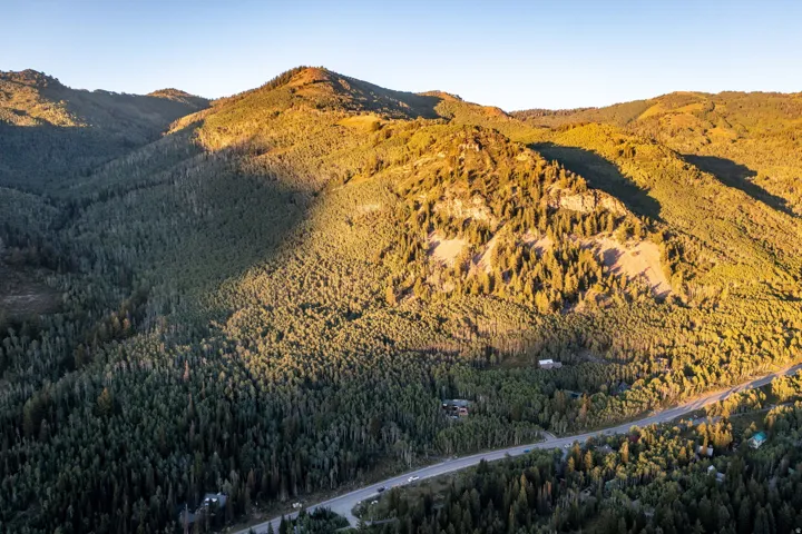 Expansive mountain landscape featuring dense evergreen forests and a winding paved road