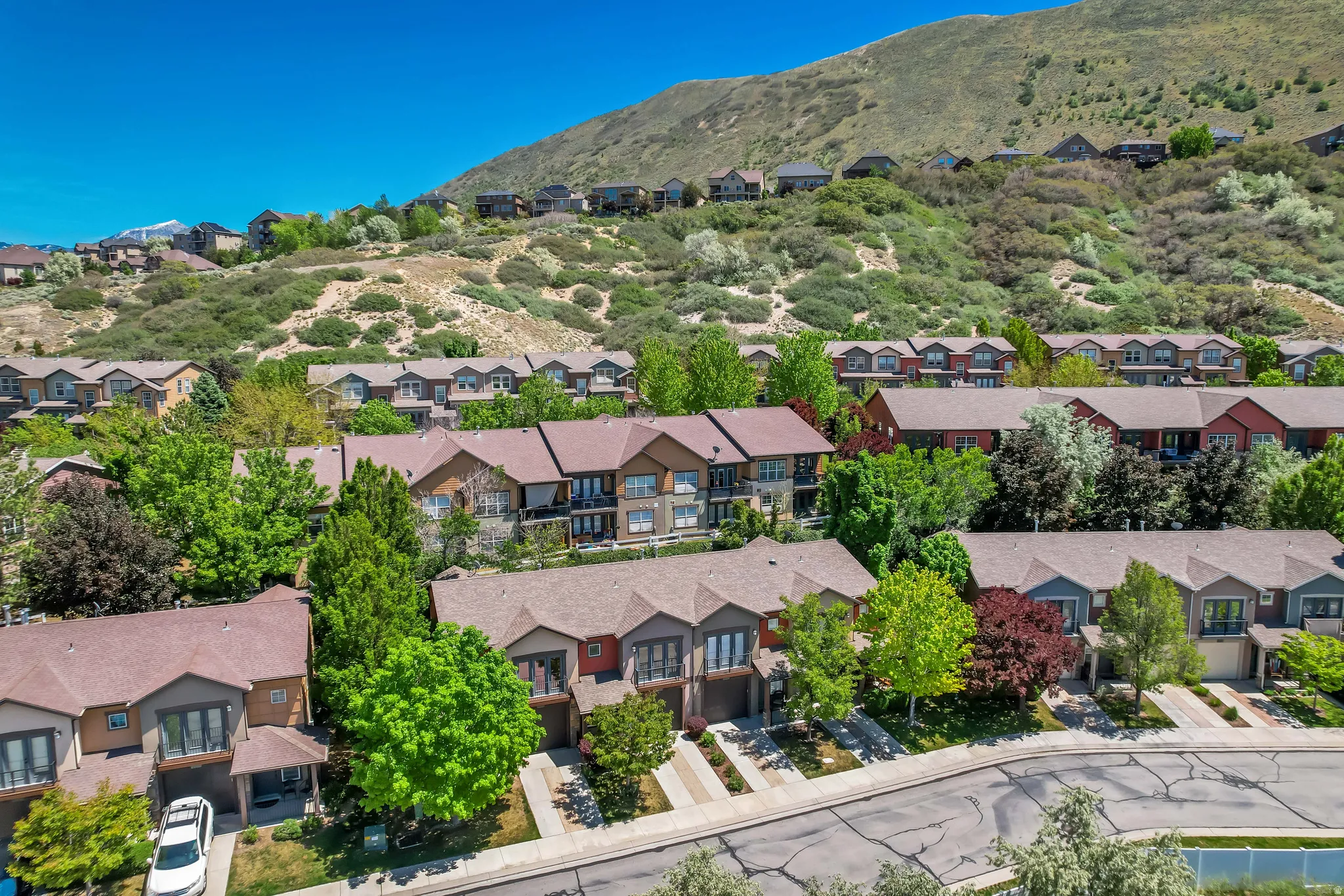 Townhome community with varied exterior finishes, individual garages, and mature landscaping