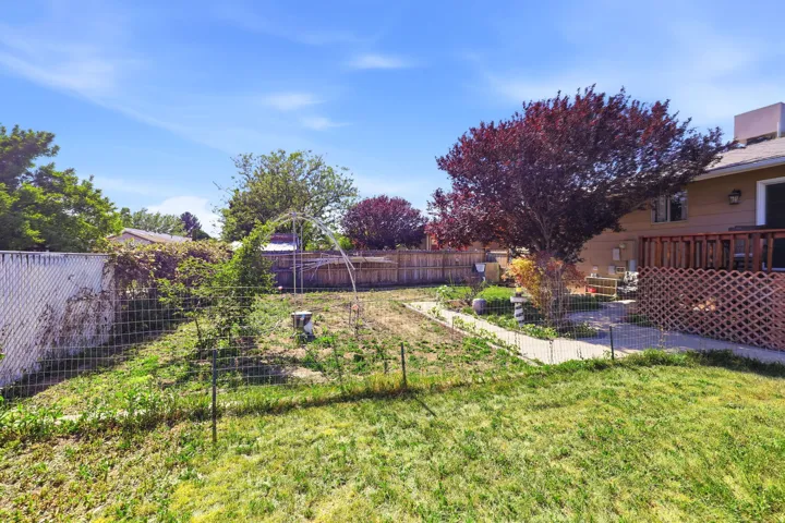 Expansive backyard featuring a green lawn, mature trees, a chain-link fence, and a patio with lattice privacy screening