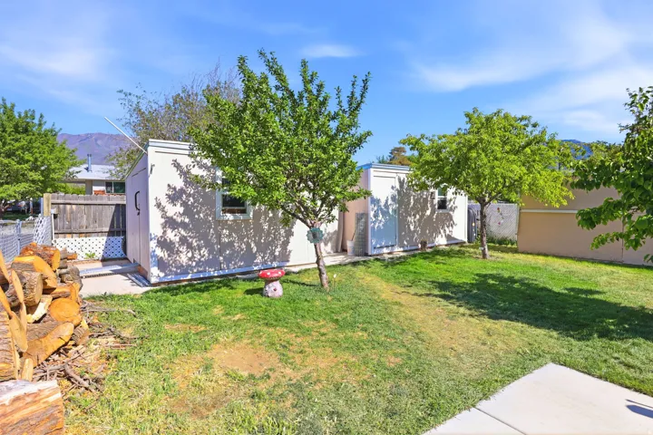 Expansive outdoor space featuring a manicured lawn, established shade trees, and two detached storage sheds with windows