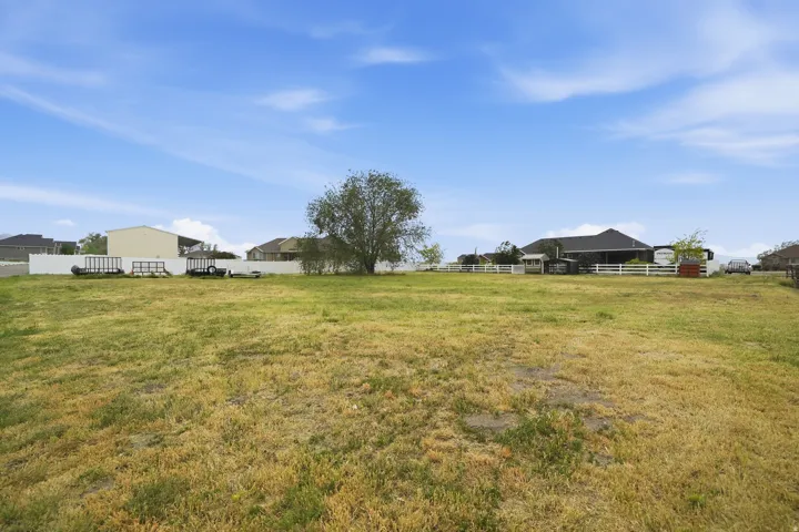 Expansive grassy lot with a mature central tree