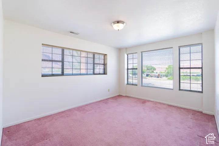Spacious room featuring multiple windows with blinds, light-colored walls, pink carpeting, and a flush-mount ceiling light fixture