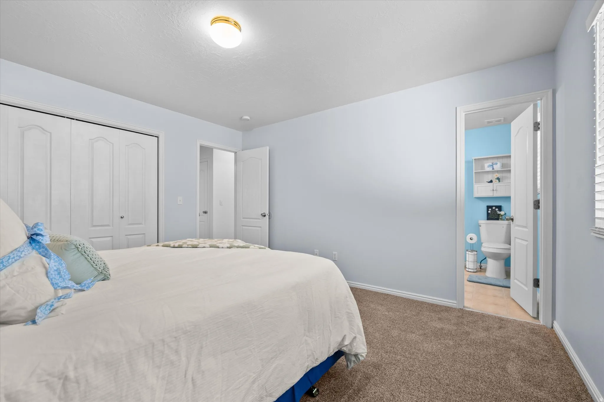 Carpeted room with light blue wall paint, featuring a ceiling-mounted light fixture and white baseboards