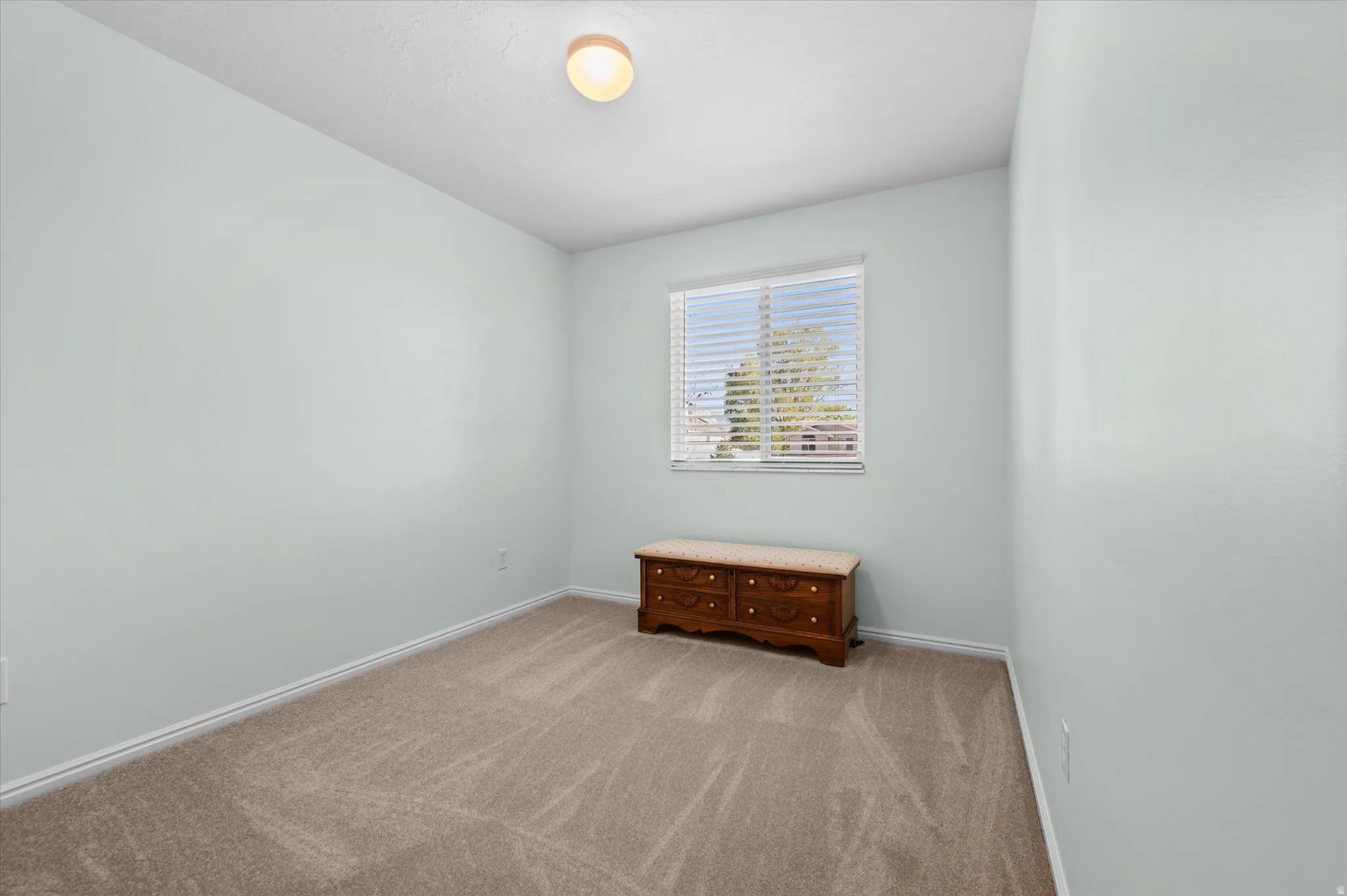 Carpeted room featuring light green walls, a single window with blinds, and a flush mount ceiling light