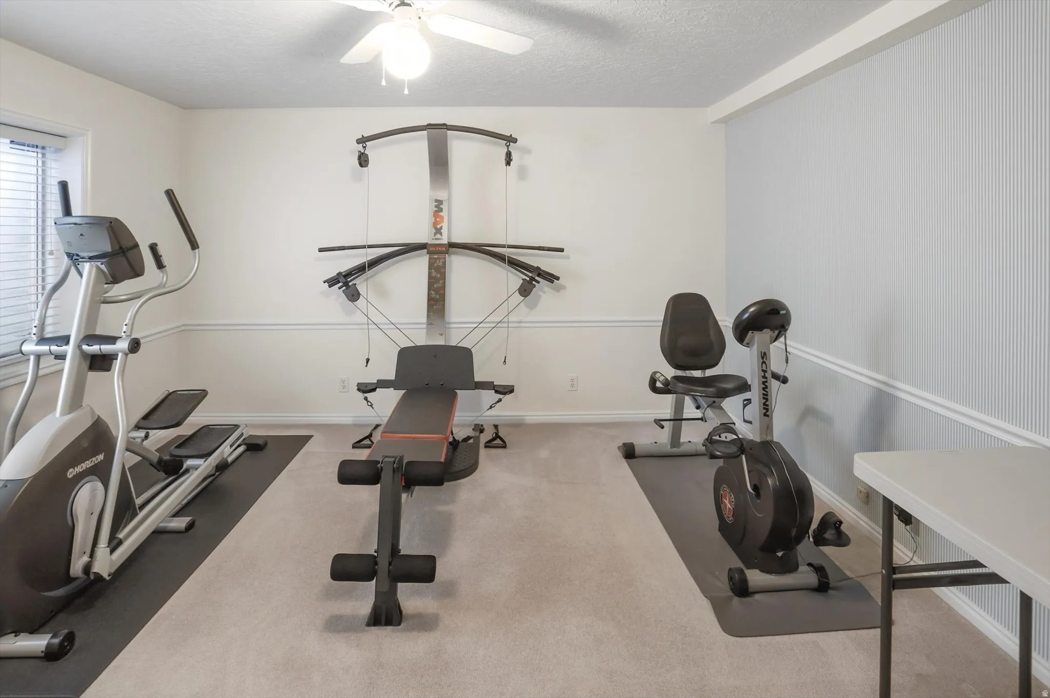 Versatile room featuring light-toned carpeting and a ceiling fan with integrated lighting