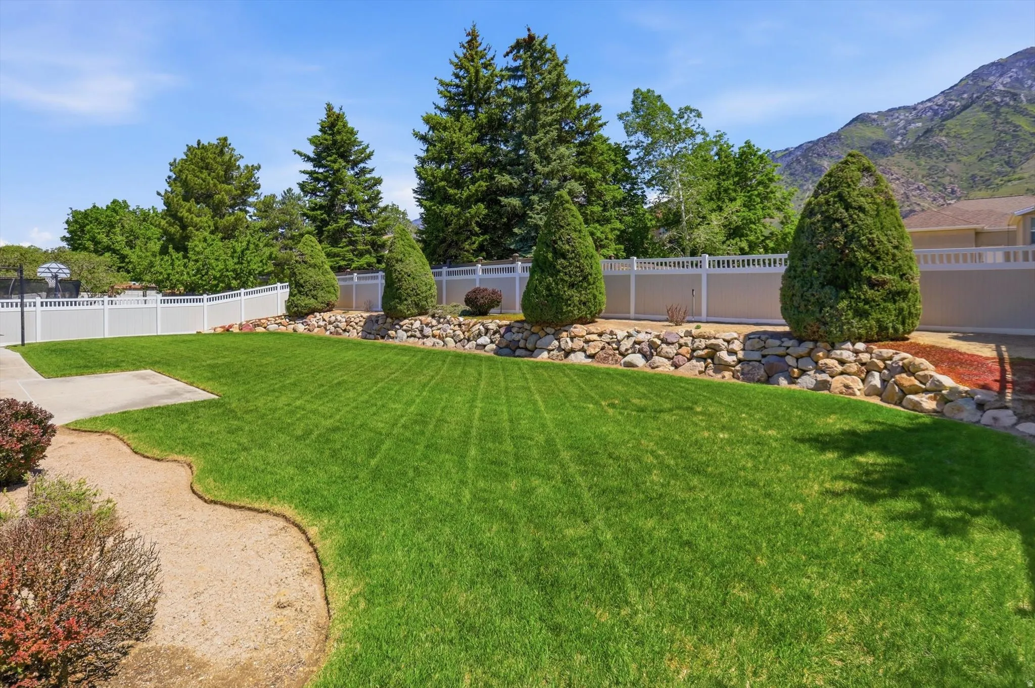 Expansive backyard featuring a lush lawn, concrete patio area, and mature evergreen trees
