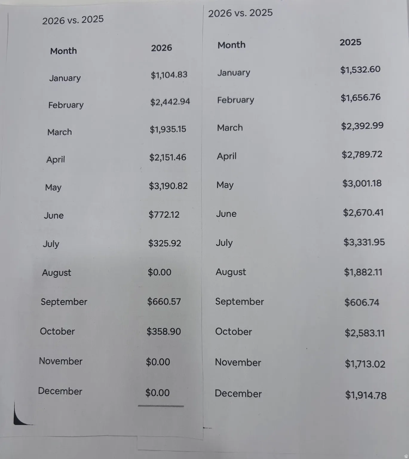 Financial Comparison Report. Detailing monthly monetary values for two distinct years