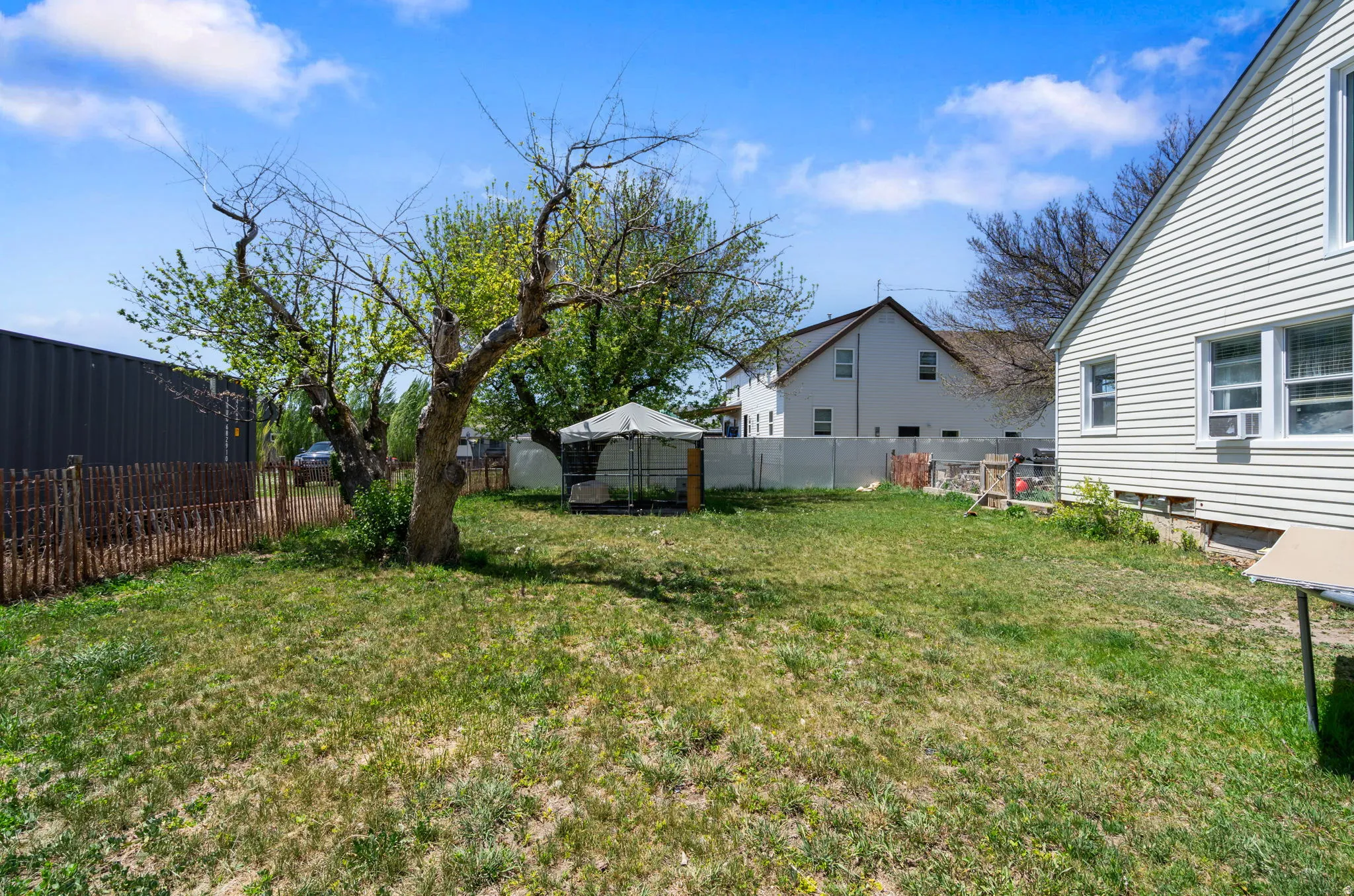Spacious backyard with a large tree and established lawn