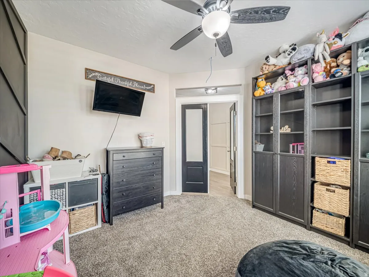Plush carpeted flooring with a ceiling fan light fixture