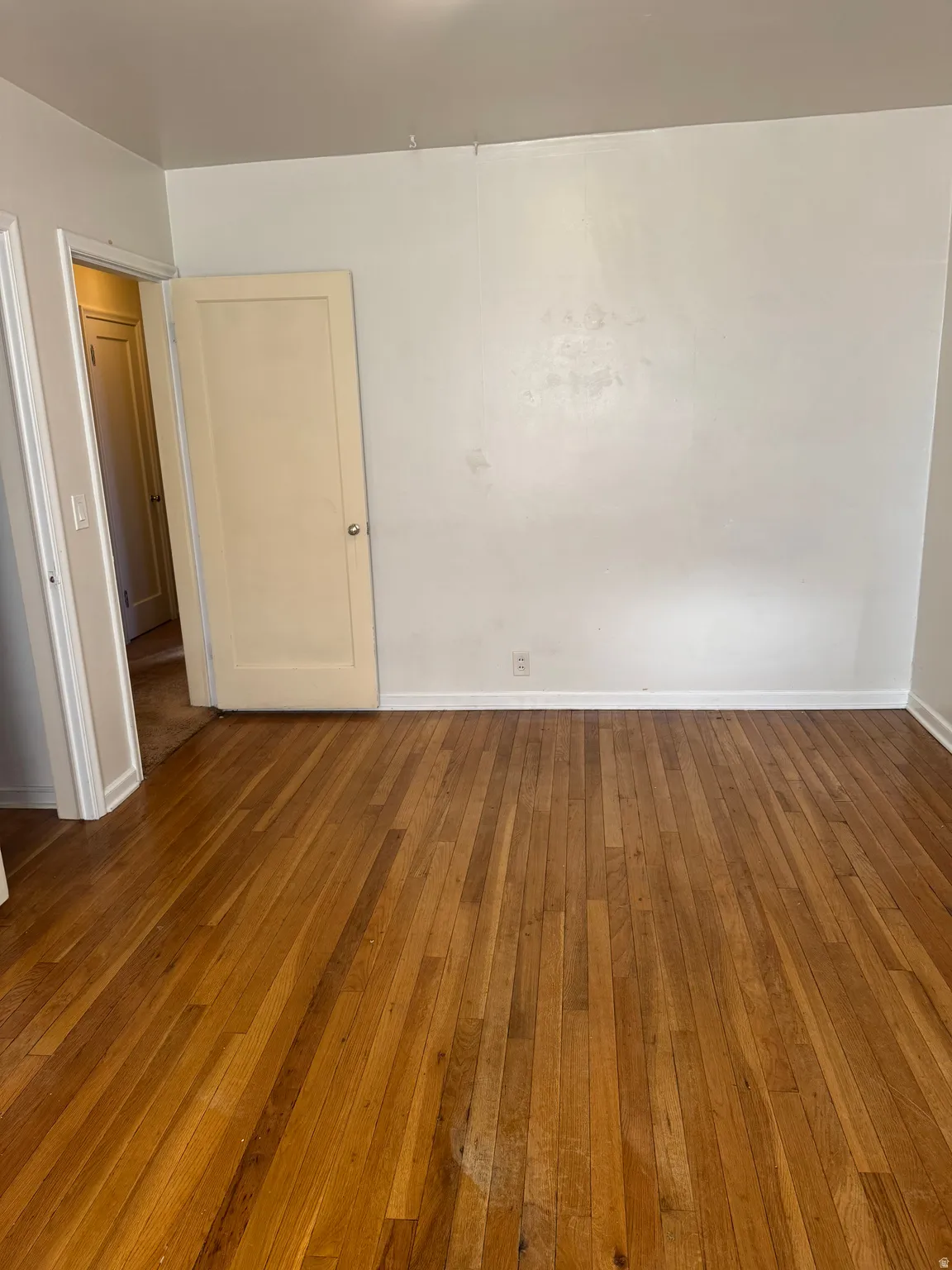 Hardwood flooring throughout the room, complemented by white baseboards