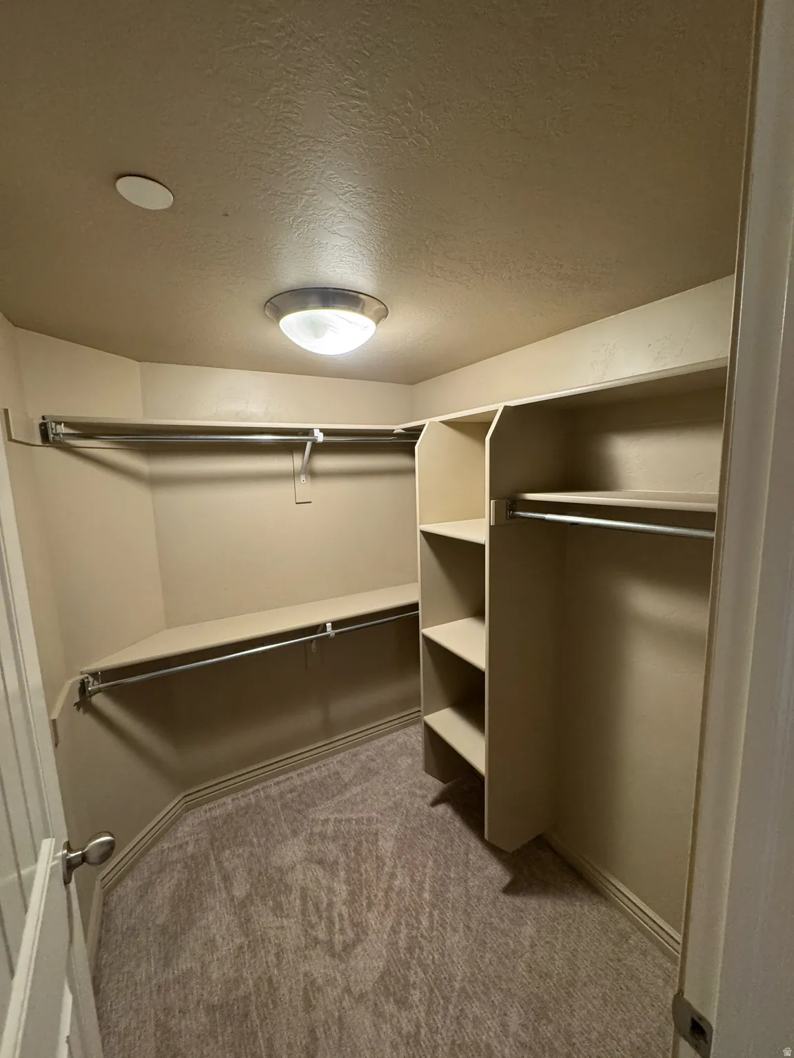 Walk-in closet featuring built-in shelving, chrome hanging rods, and neutral-toned carpeting