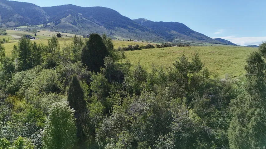 Expansive natural landscape featuring lush green fields and dense tree coverage