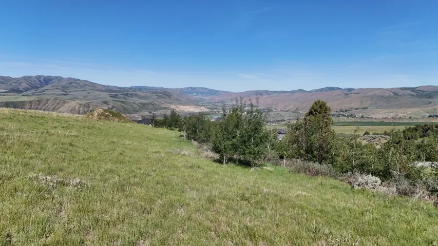 Expansive grassy terrain on a sloped hillside, featuring distant mountain ranges and a valley with scattered trees