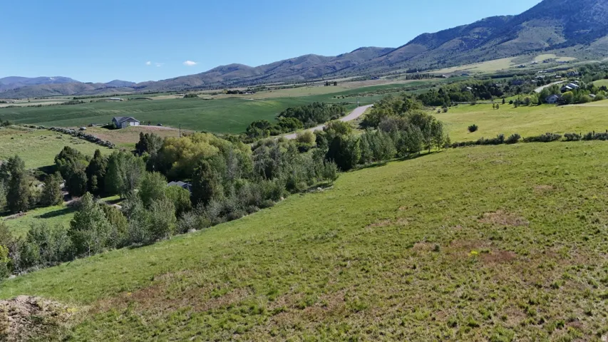 Expansive green acreage with rolling hills, a distant white structure, surrounding mature trees, and a mountain range backdrop