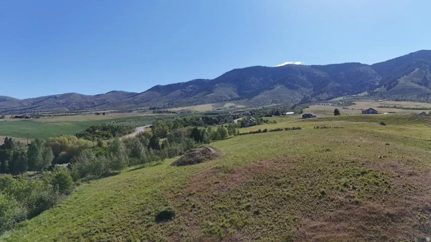 Expansive sloped terrain with natural grass coverage and distant mountain backdrop