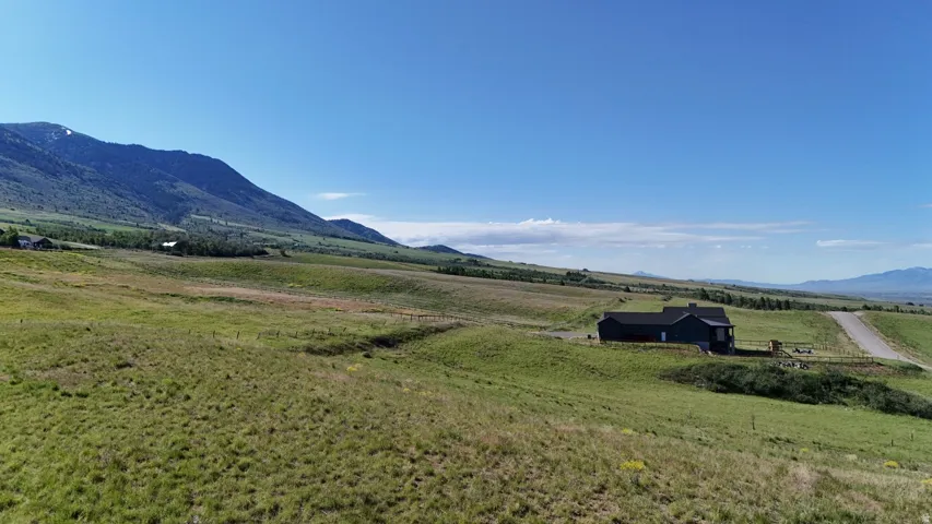 Expansive green landscape with a distant mountain range