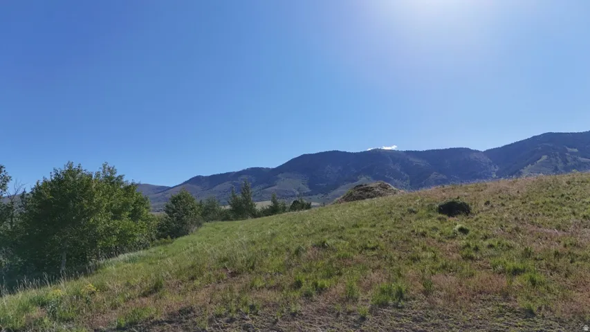 Expansive property featuring varied terrain with a verdant foreground and distant mountains