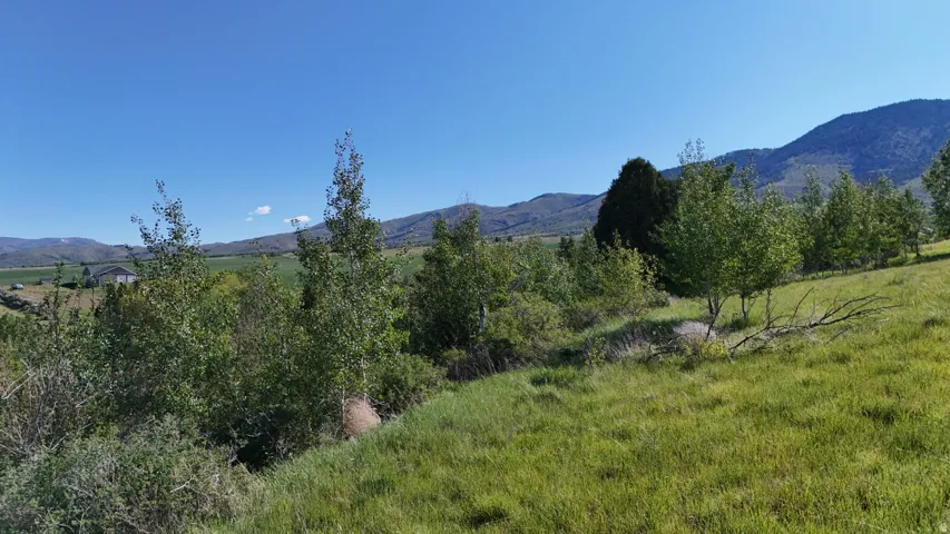 Expansive green space featuring natural vegetation and distant mountain ranges