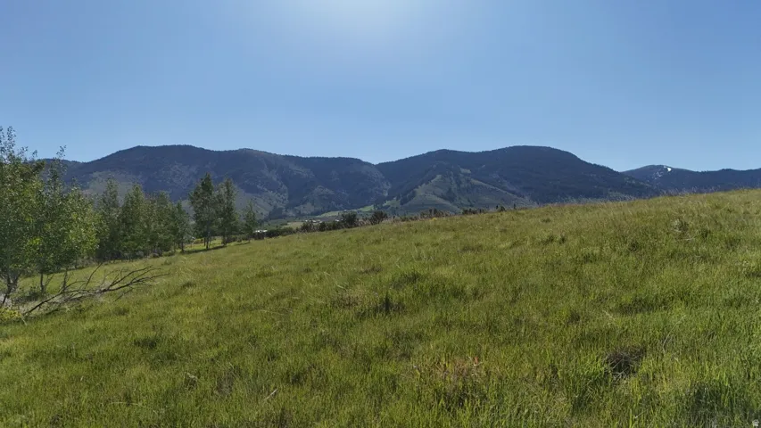 Expansive grassy acreage featuring distant mountain ranges and a clear sky