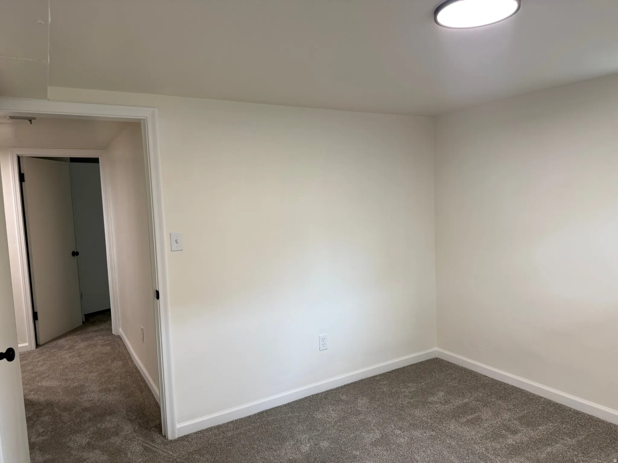 Neutral-toned carpet flooring