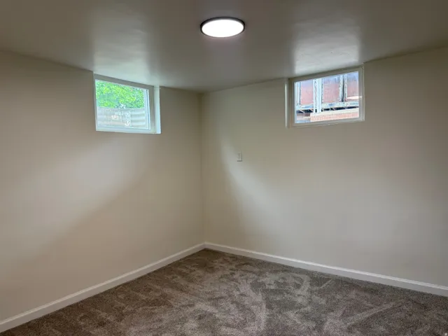 Neutral tone walls complementing new carpeting, featuring two perimeter windows and a flush-mount ceiling light