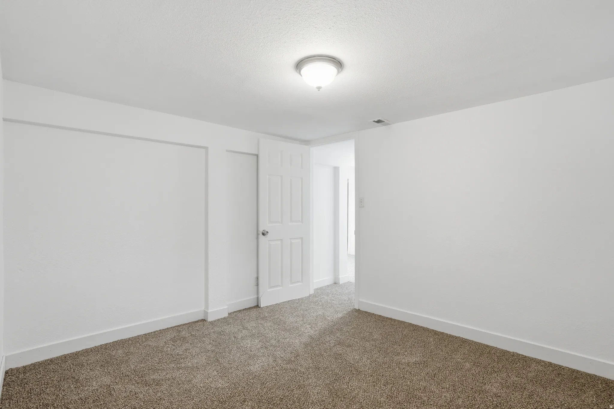 Neutral-toned carpeted room with white walls, a flush-mount ceiling light, and a paneled door
