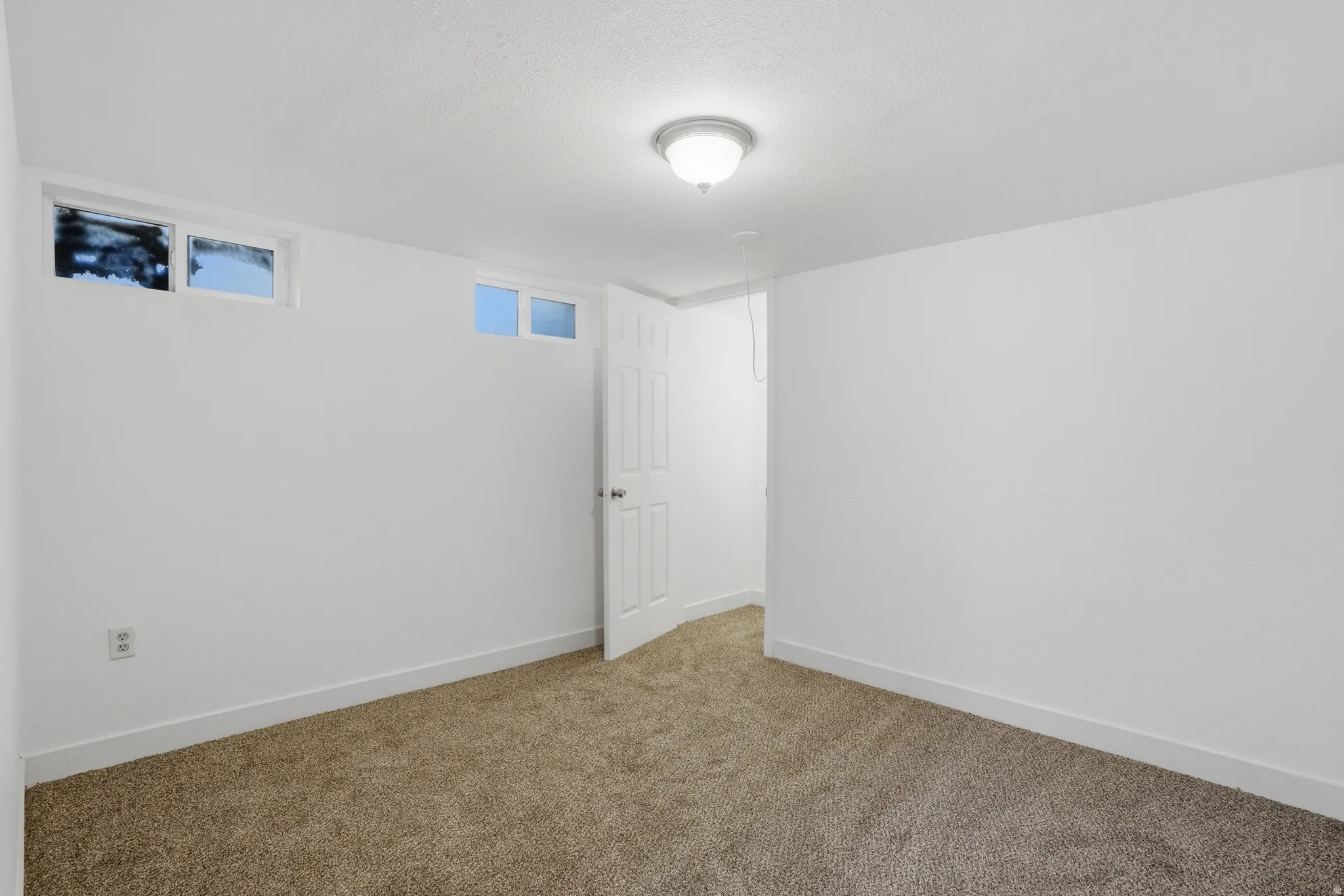 Freshly painted interior with light brown carpet, multiple high-set windows, a white paneled door, and a flush-mount ceiling light fixture