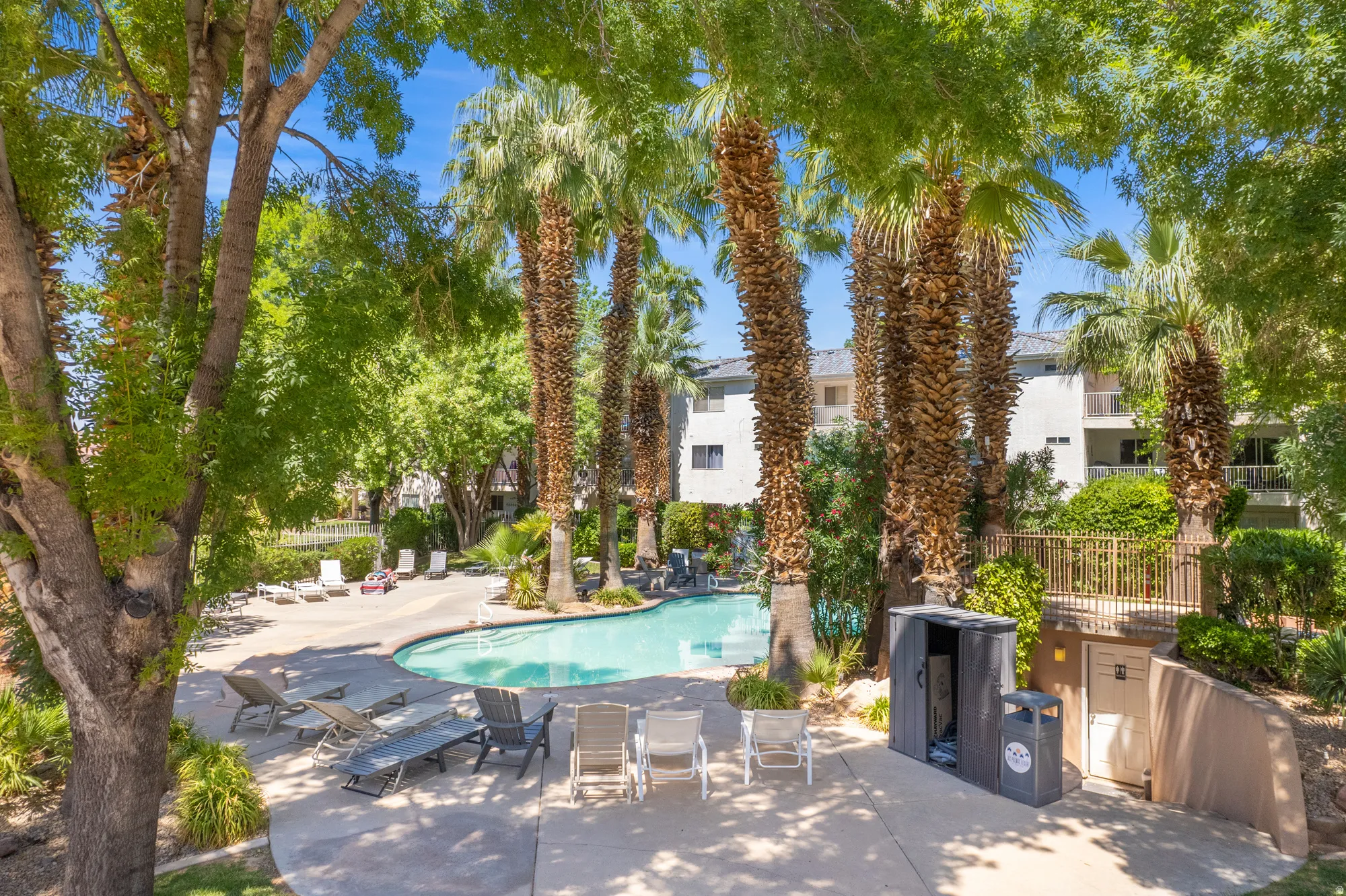 Freeform swimming pool surrounded by a concrete deck, multiple lounge chairs, and mature palm trees