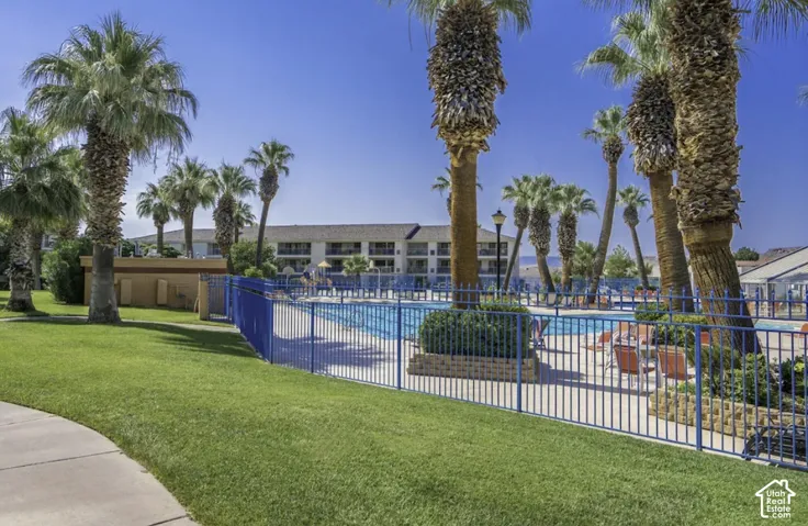 Expansive outdoor pool area featuring a blue metal fence, surrounding palm trees, and a concrete patio