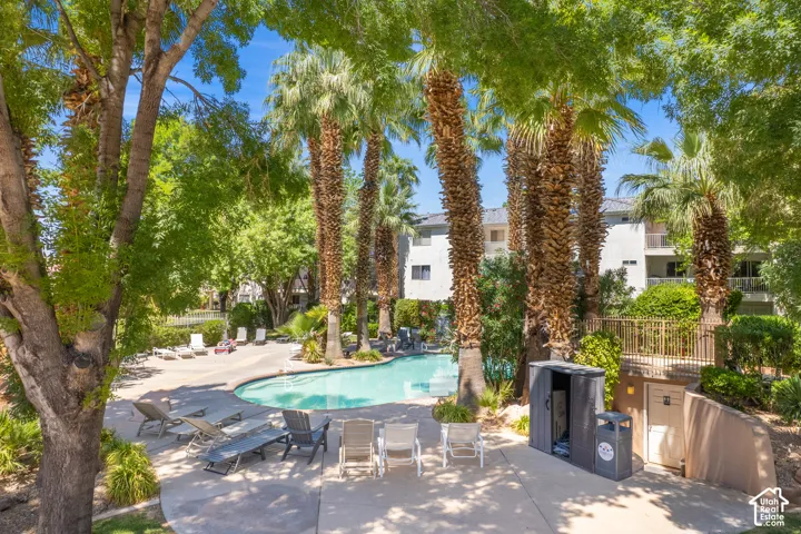 Freeform swimming pool surrounded by a concrete deck, multiple lounge chairs, and mature palm trees