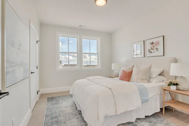 Bright room featuring two windows with white trim, light wall color, carpeting with a patterned area rug, and a ceiling-mounted light fixture