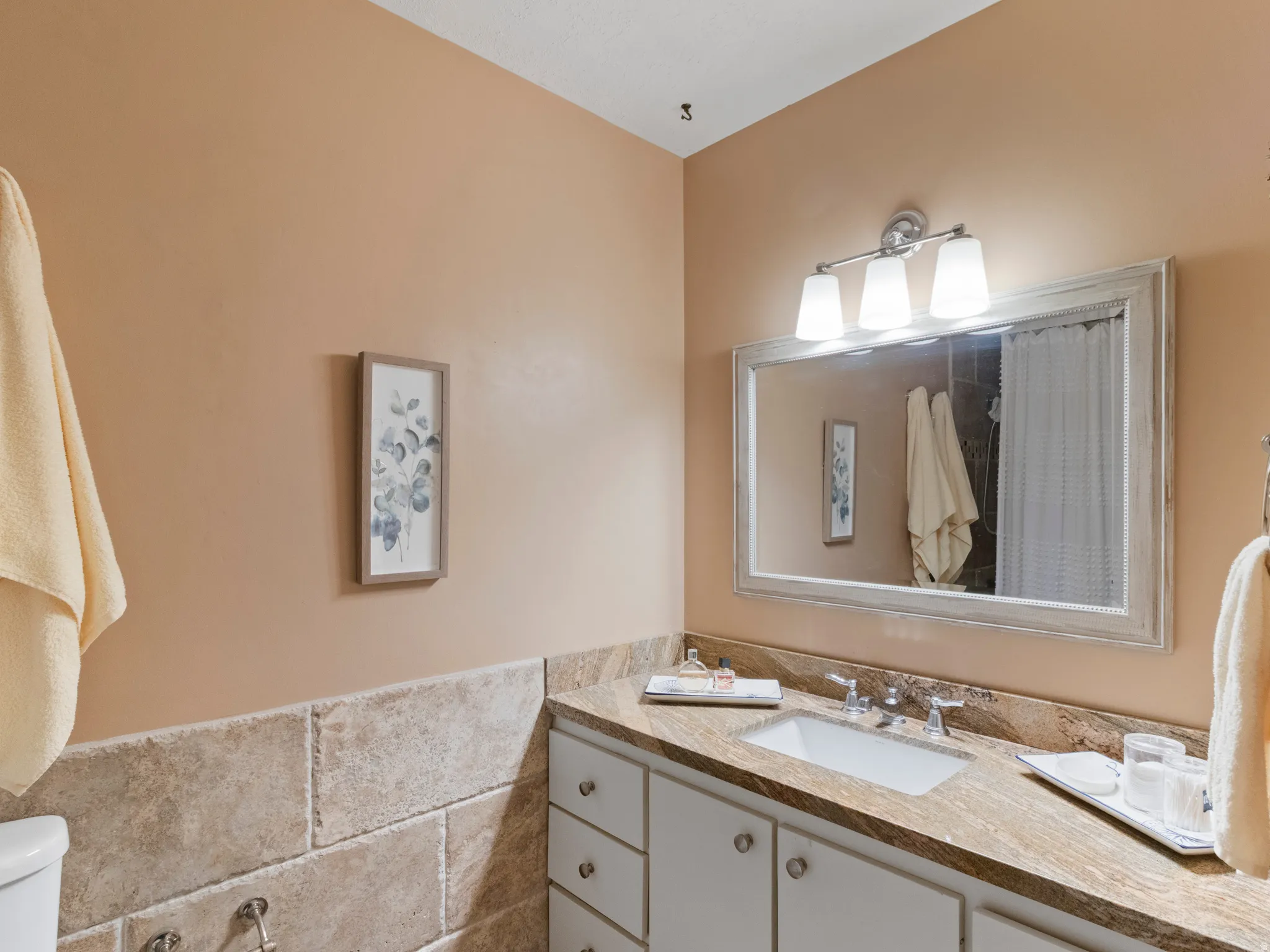 Master Bathroom featuring a white vanity with panel cabinetry, an undermount sink, and a granite countertop