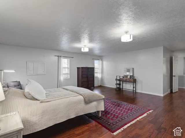 Spacious master bedroom featuring wood-finish flooring, light grey walls, and dual windows for natural illumination