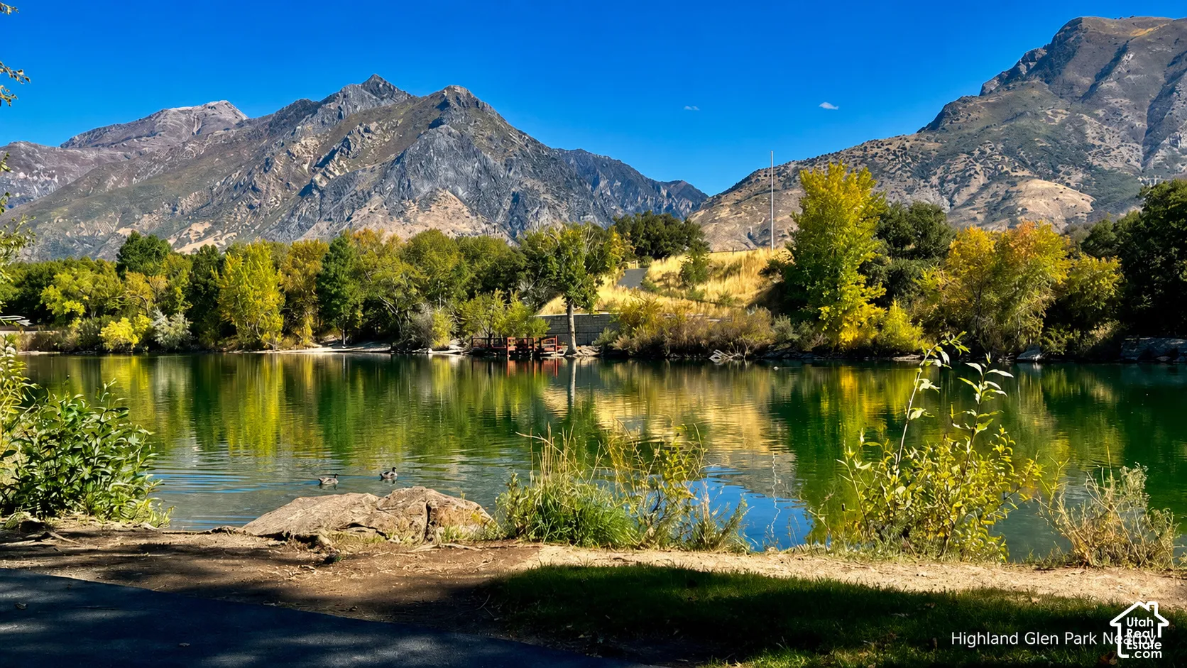 Natural landscape featuring a tranquil body of water, lush green and golden foliage, and a prominent mountain range in the background