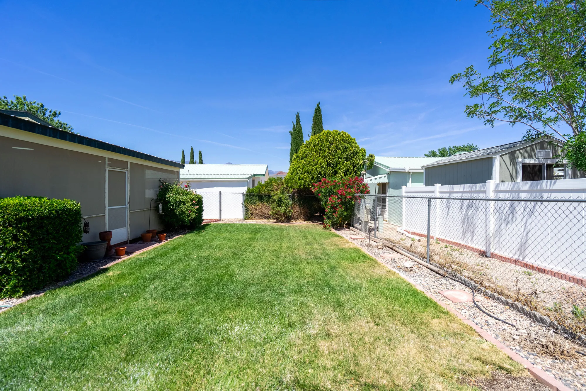 Expansive backyard featuring a green lawn, established perimeter hedging, a side fence, and a gate