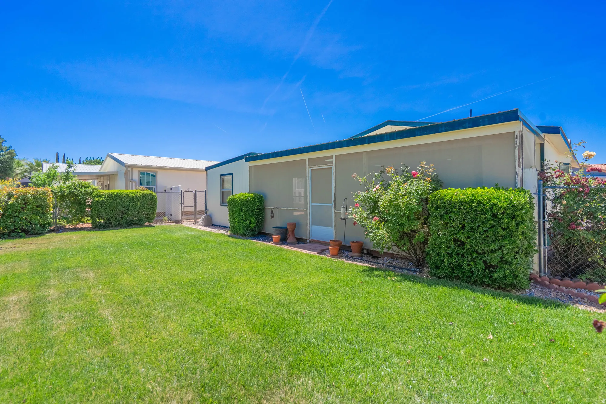 Expansive green lawn with established shrubbery and mature rose bushes