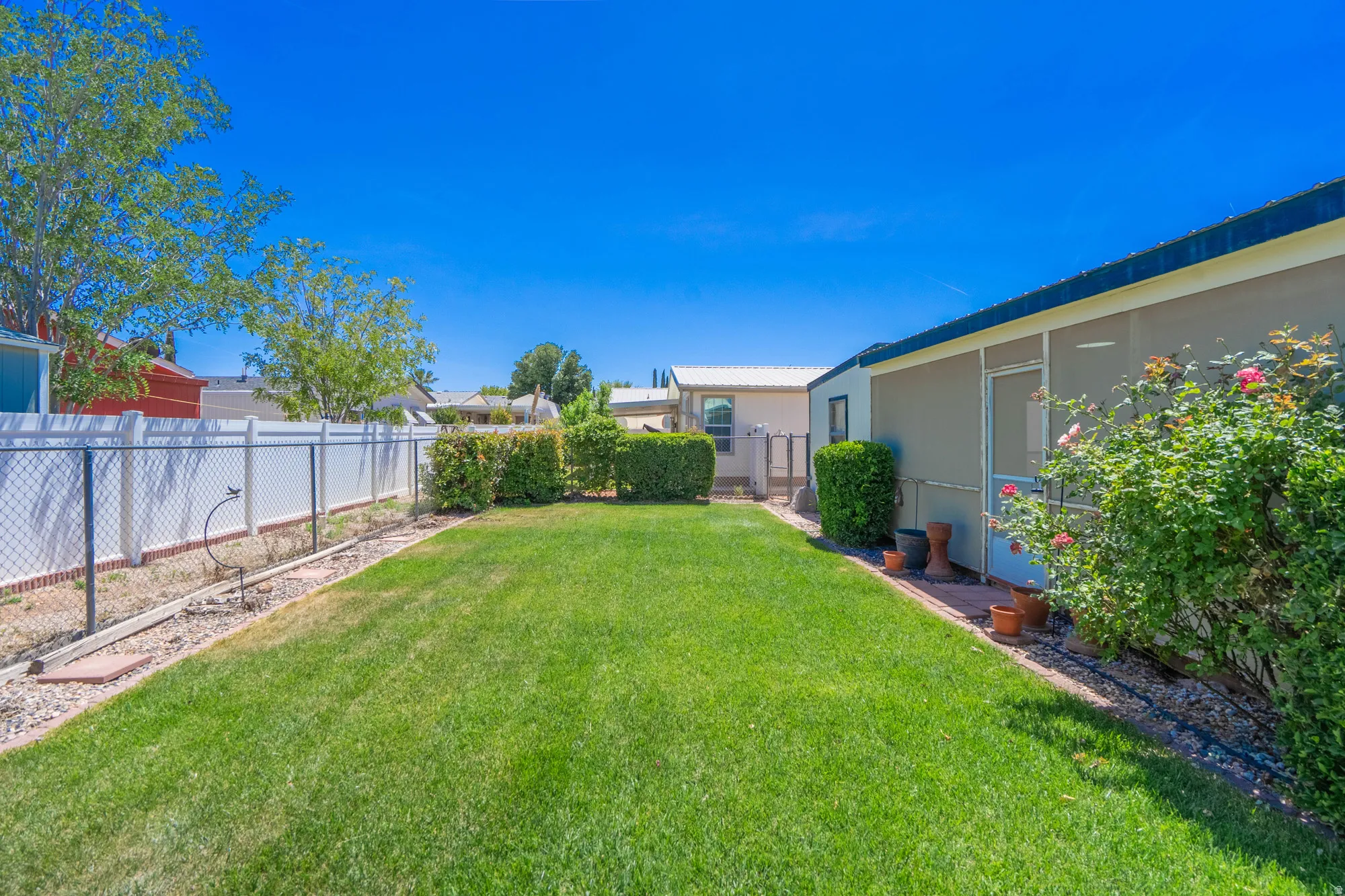 Expansive lawn area bordered by mature hedges and a combination chain link and privacy fence