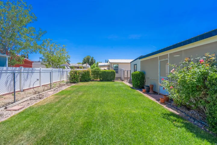 Expansive lawn area bordered by mature hedges and a combination chain link and privacy fence