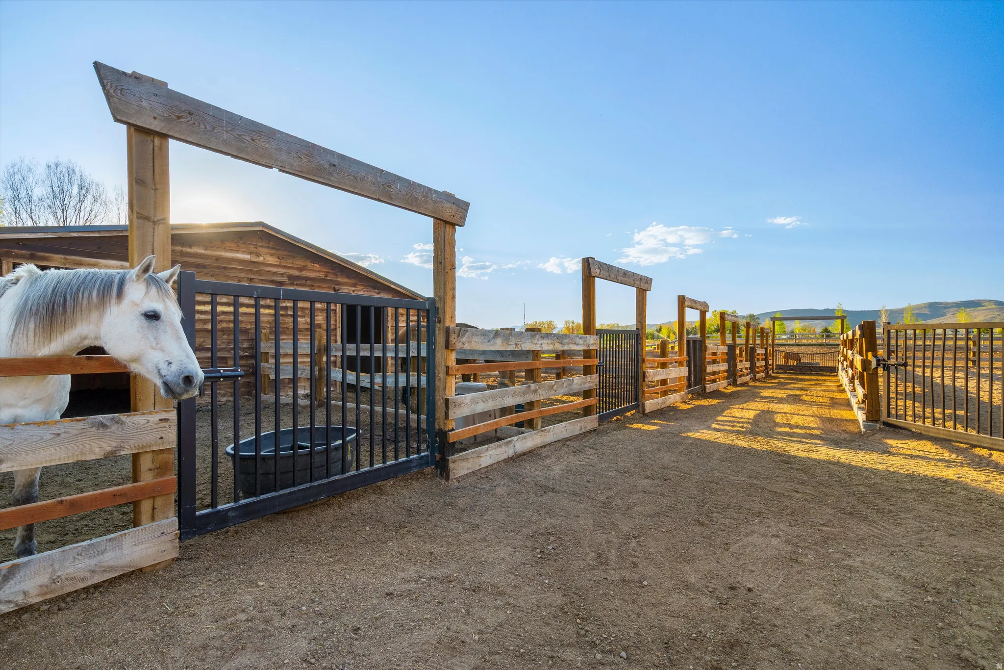 Expansive animal enclosure featuring rustic wood fencing, multiple gated entry points, and a wooden barn structure in the background