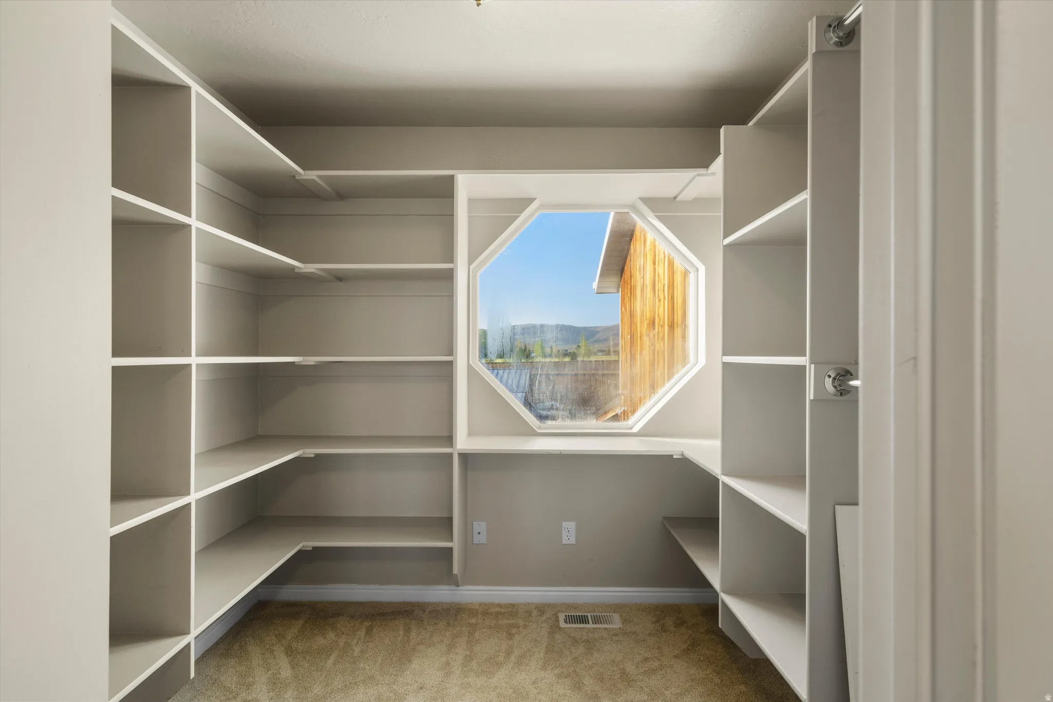 Built-in shelving system featuring a unique octagonal window, offering natural light and a distant landscape